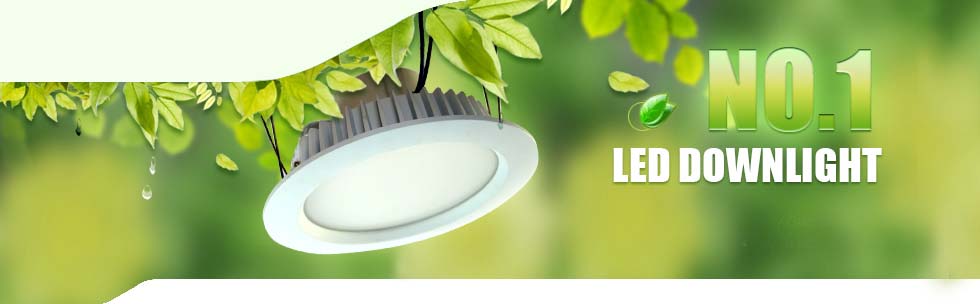 Bóng đèn led bulb