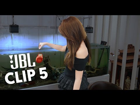 Review JBL Clip 5: Tiện mang theo, chất âm có thuyết phục?