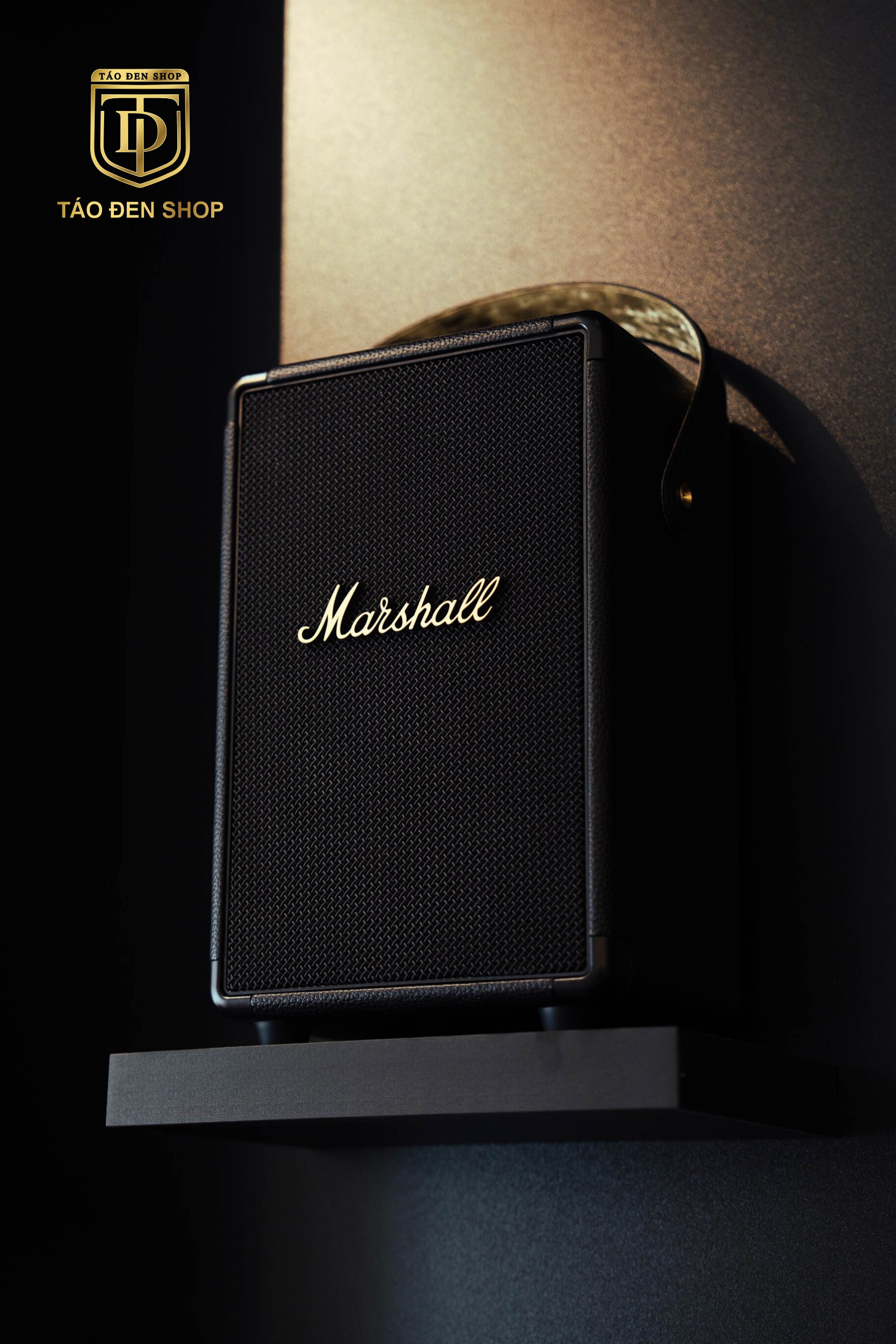 Marshall Custom độc đáo tại Việt Nam  BornToRide