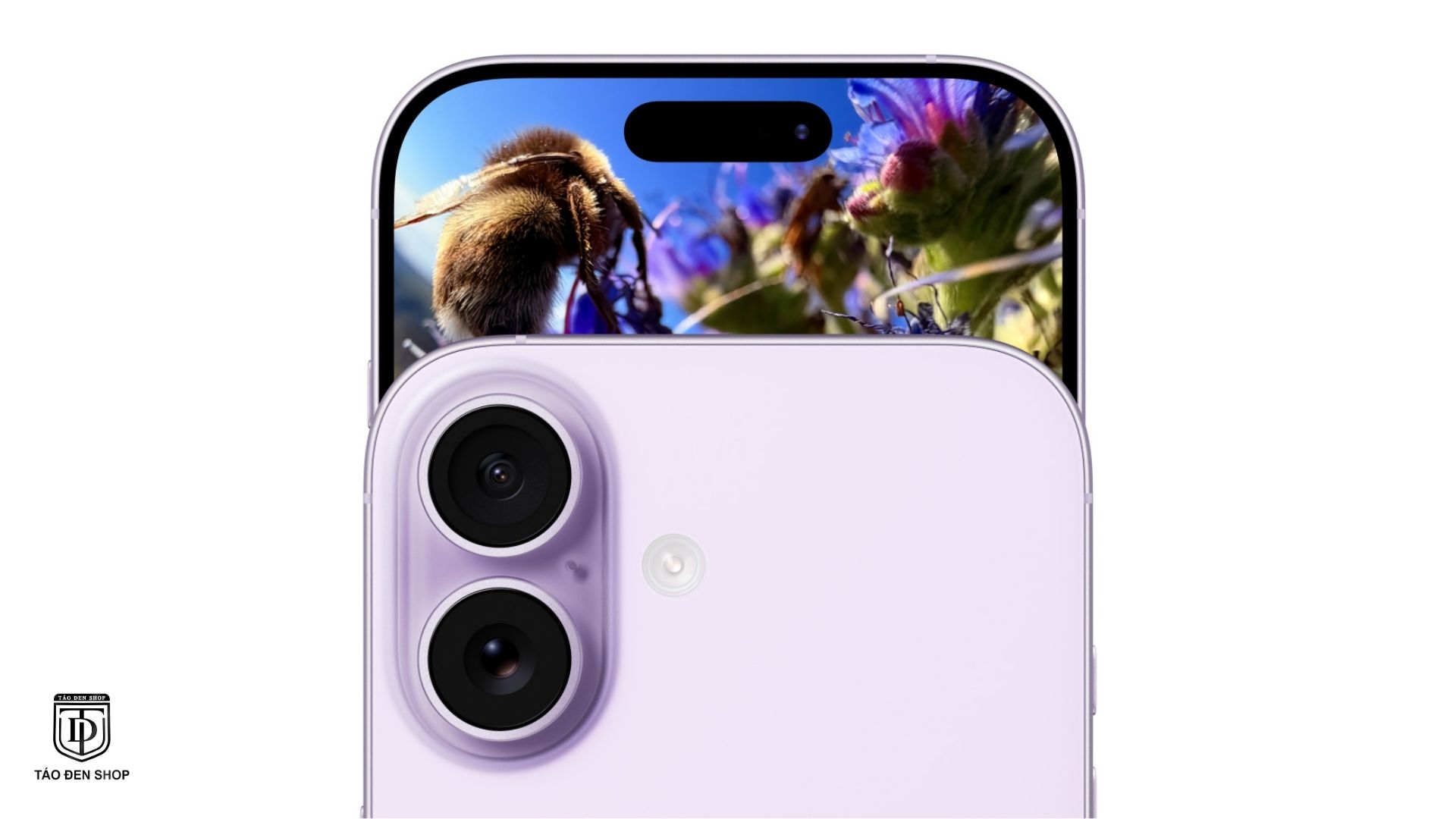 Cụm camera 48MP nâng cấp trên iPhone 17