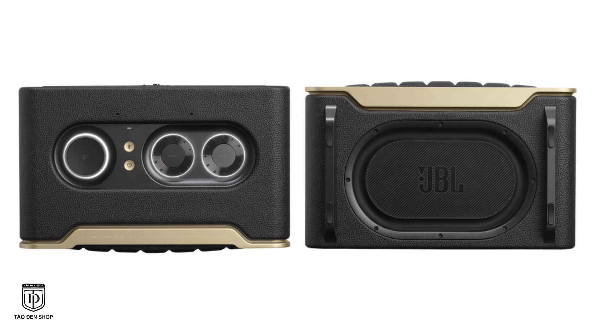 Mặt sau và cấu trúc âm học JBL Authentics 200