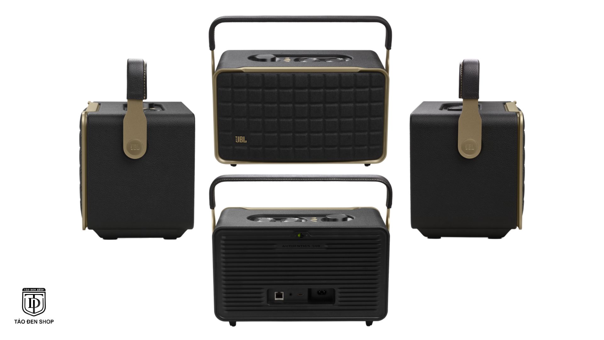 Mặt sau và cấu trúc loa JBL Authentics 300