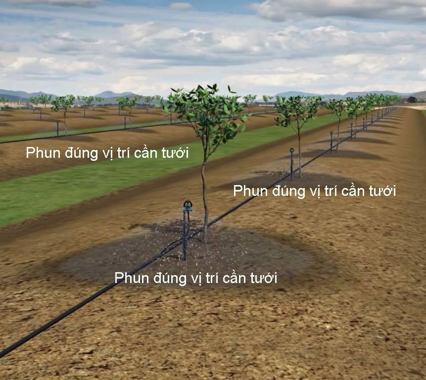 phân biệt s2000 chính hãng và hàng giả