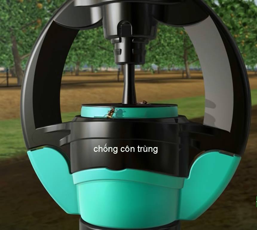 phân biệt S2000 chính hãng và hàng giả