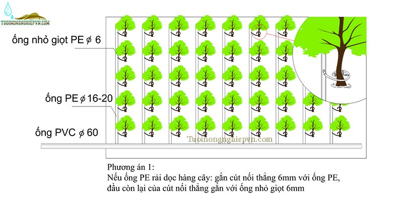 Hướng dẫn lắp đặt hệ thống nhỏ giọt
