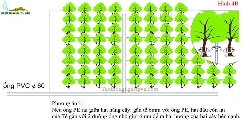 Lắp Đặt Hệ Thống Tưới Nhỏ Giọt Công Nghệ Israel giá rẻ