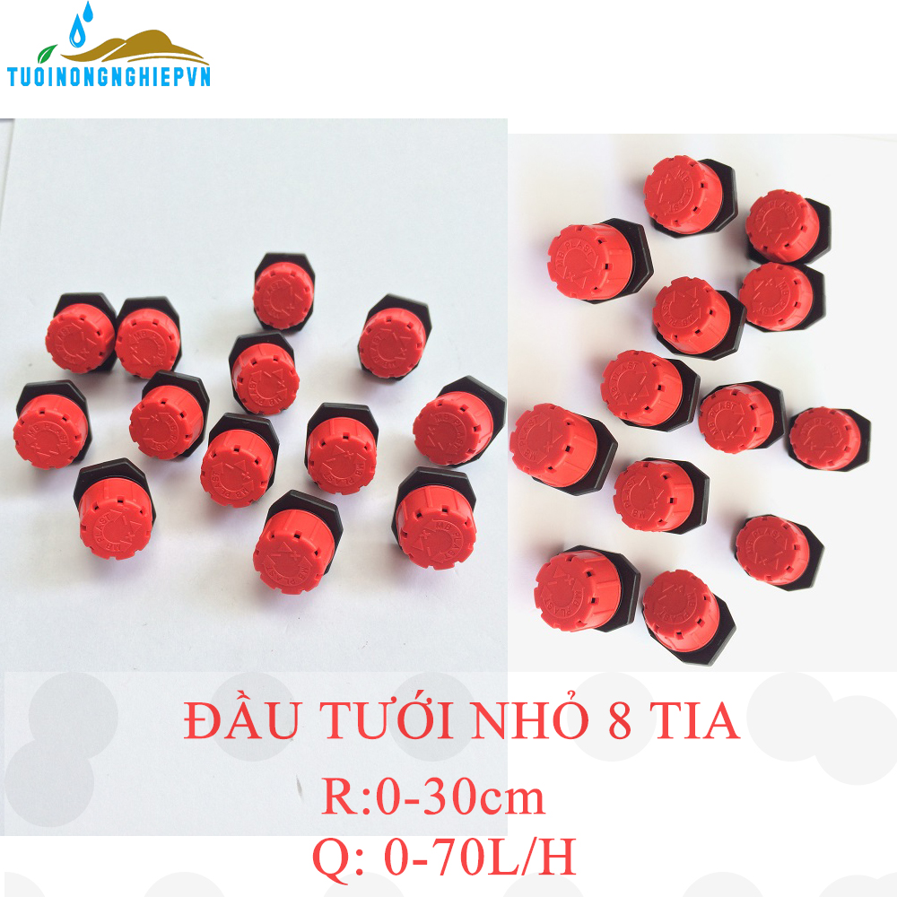 đầu tưới nhỏ giọt tám tia tại hà nội