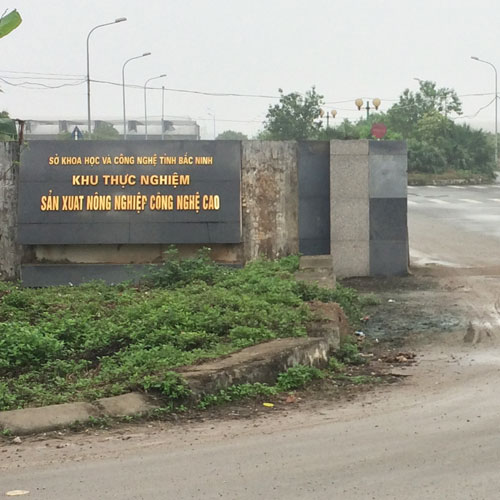 tuoi nho giot khu cong nghe cao bac ninh