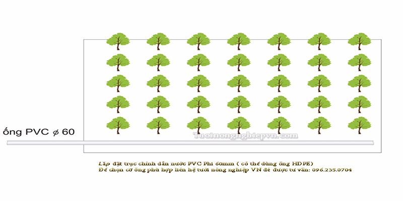 Hướng Dẫn Lắp Đặt Mạng Lưới Đường Ống Cái Và Ống Nhánh PE