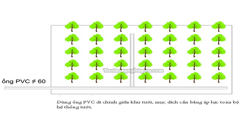 Hướng dẫn lắp đặt ống nước PVC