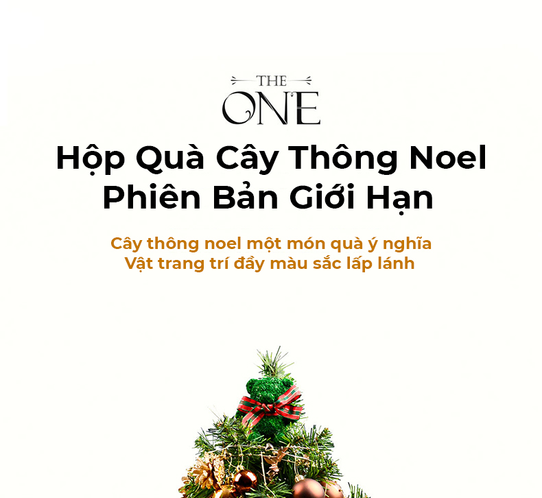 Hộp Quà Giáng Sinh Cây Thông Noel