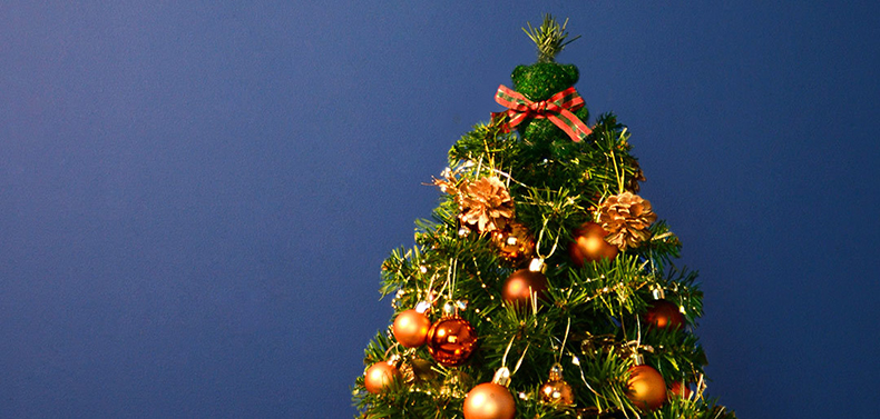 Hộp Quà Giáng Sinh Cây Thông Noel