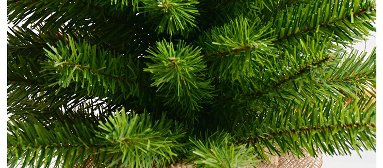 Hộp Quà Giáng Sinh Cây Thông Noel