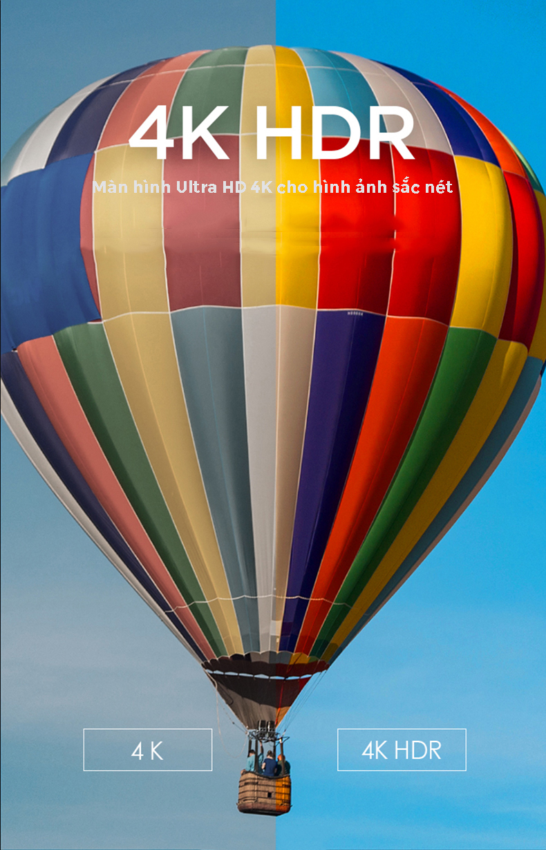 Tivi Xiaomi 4C 55 inch
