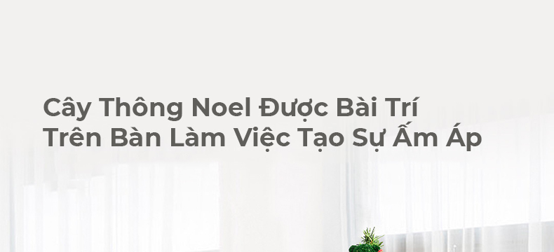 Hộp Quà Giáng Sinh Cây Thông Noel