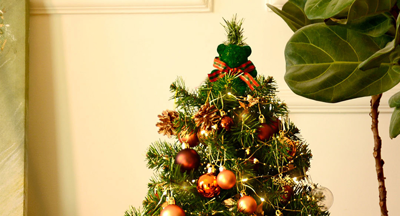 Hộp Quà Giáng Sinh Cây Thông Noel