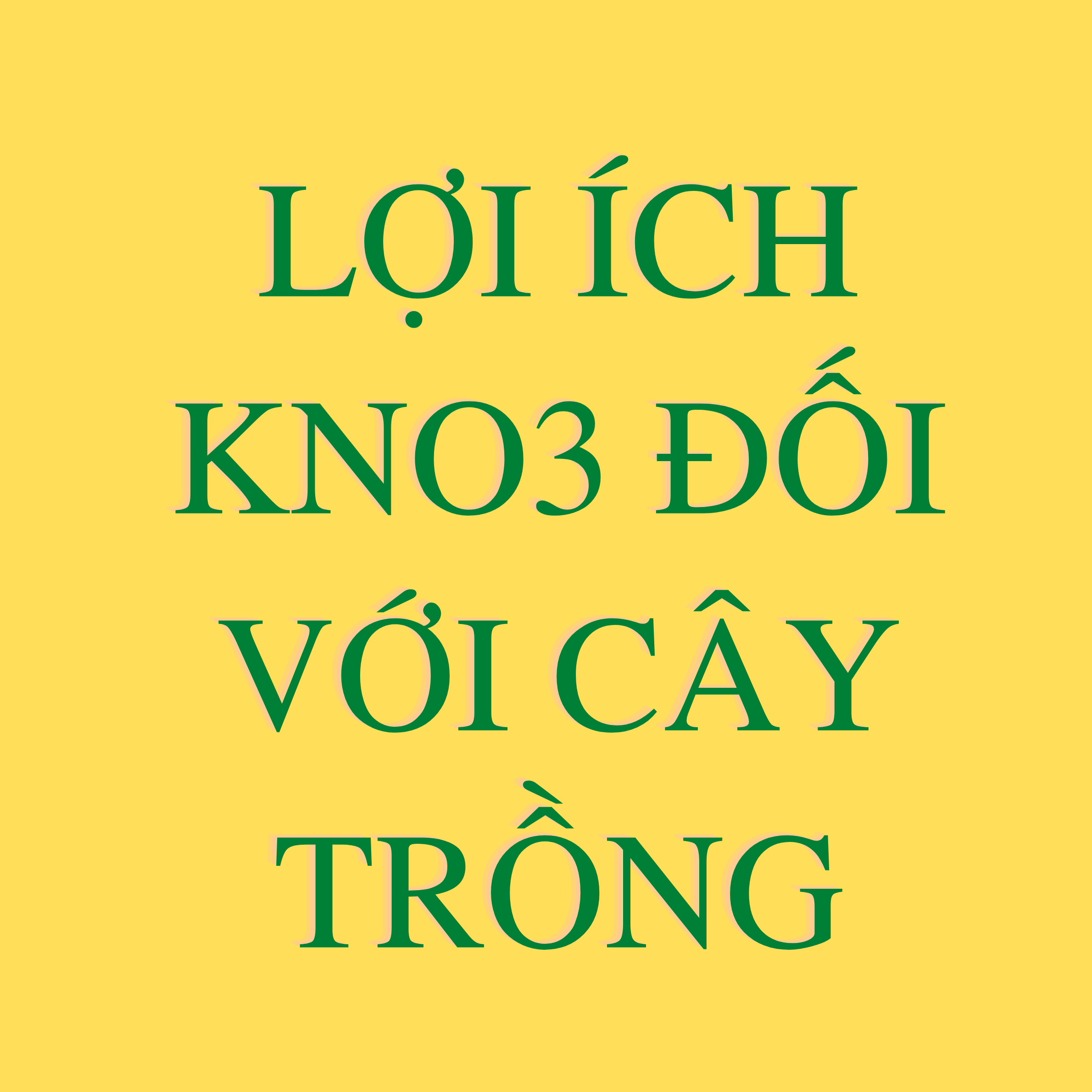 Tác dụng của KNO3 đối với cây trồng