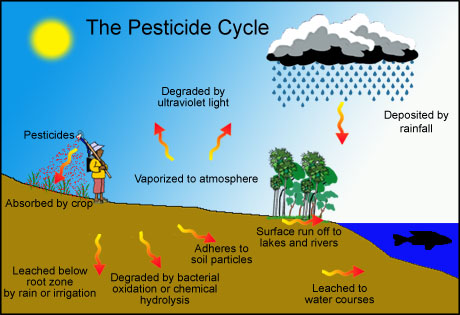 64% diện tích đất canh tác thế giới bị ô nhiễm thuốc trừ sâu