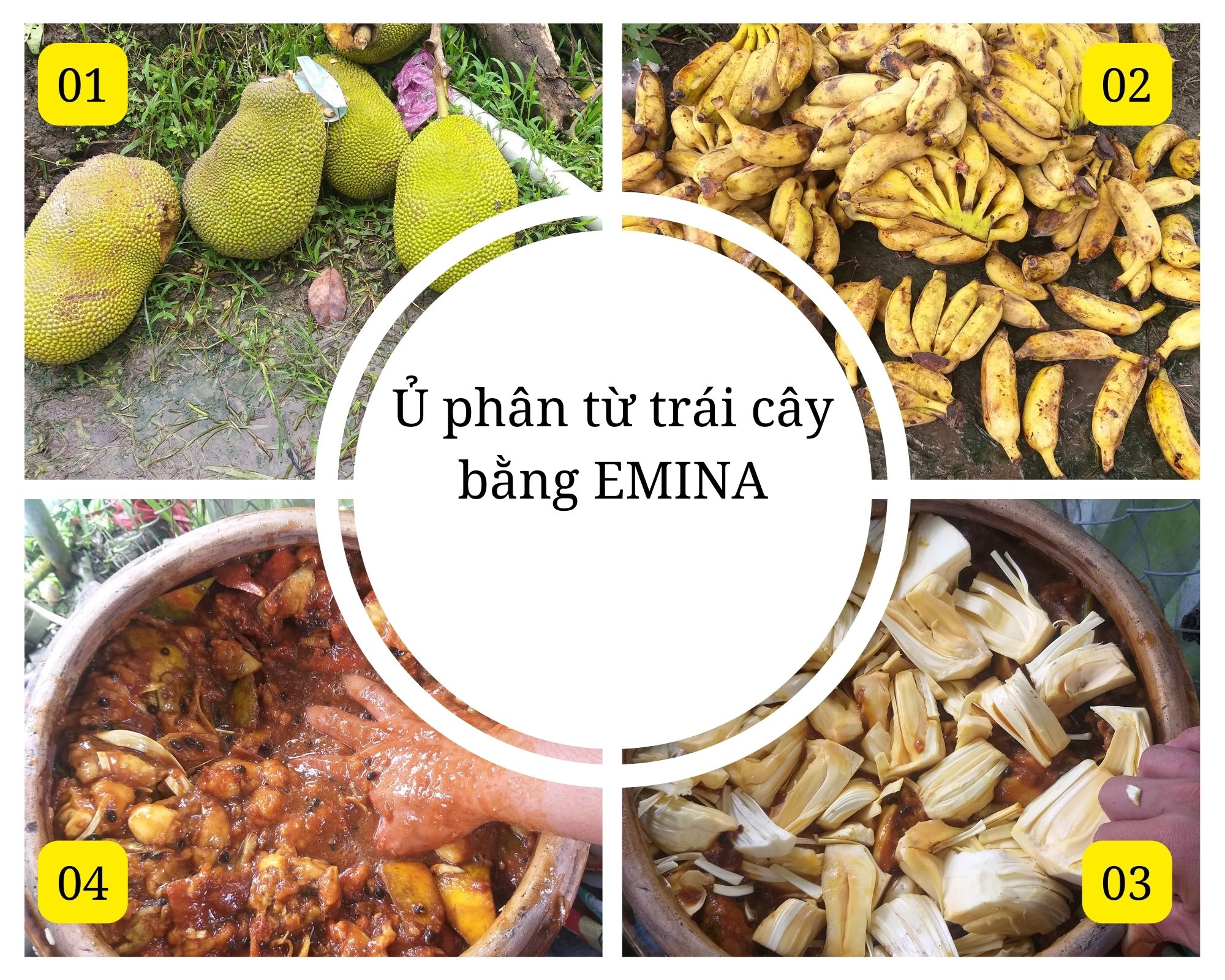 Ủ phân từ trái cây bằng EMINA 