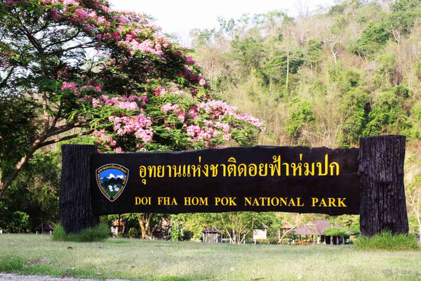 Chiang Mai - Điểm du lịch hấp dẫn phía Bắc Thái Lan Primary