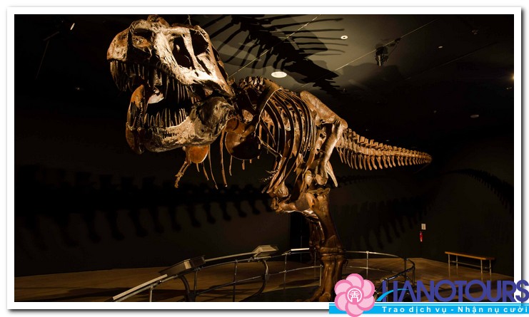 Thăm quan bảo tàng bảo tàng ArtScience ở Singapore