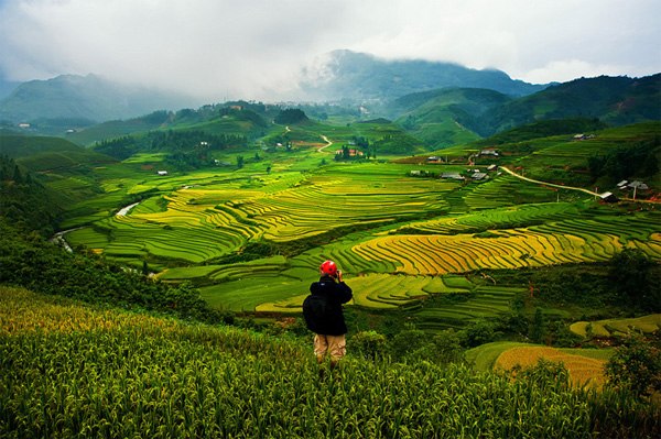 Những lý do khiến bạn phải du lịch Sapa vào mùa đông này ngay lập tức