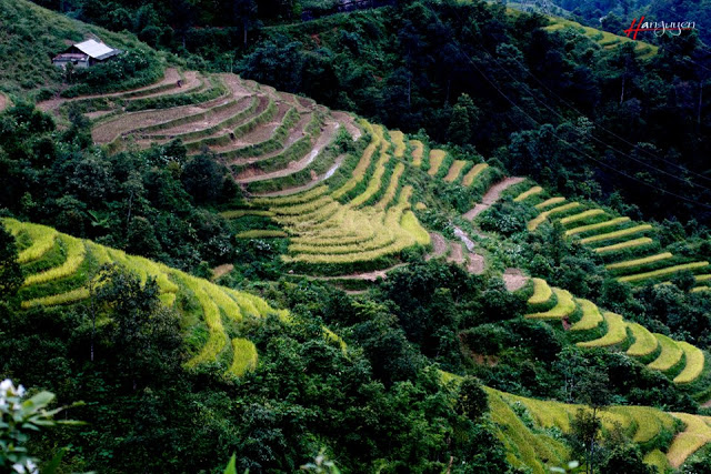 Quyến rũ với những cảnh sắc tuyệt đẹp khi đi du lịch Sapa