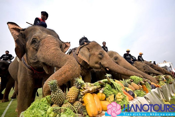 Tham gia lễ hội đua voi tranh cúp Pôlô ở Thái Lan
