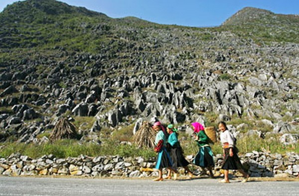 Cao nguyên đá Đồng Văn