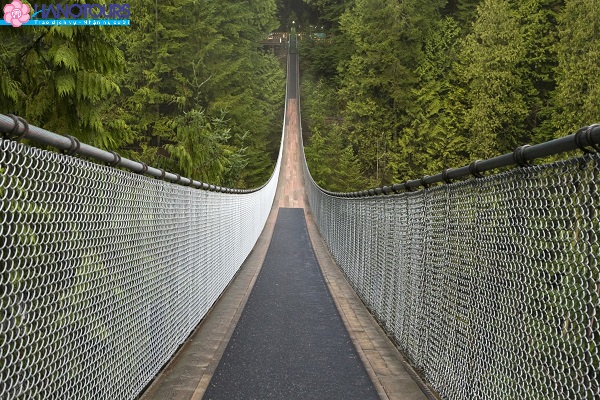 Capilano Suspension Bridge Châu Mỹ