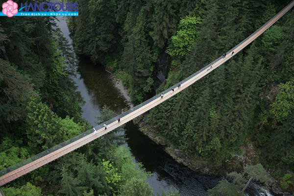 Capilano Suspension Bridge