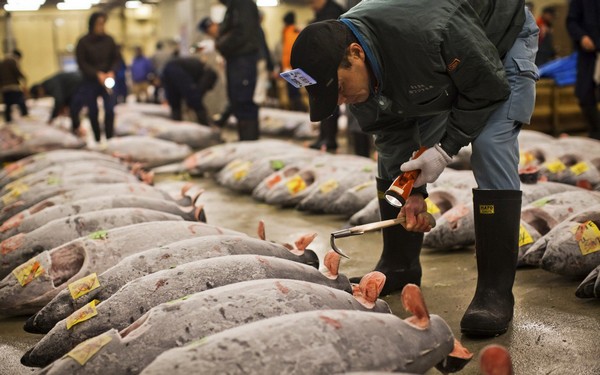 cho-tsukiji