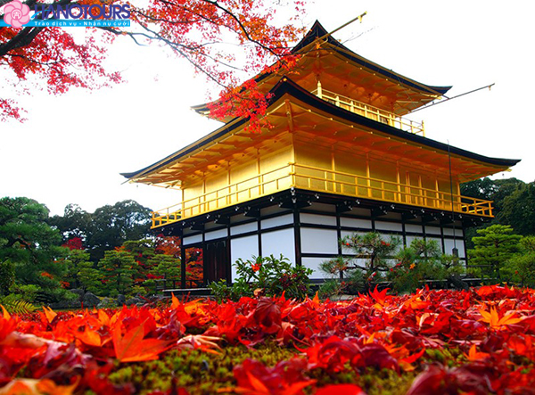 Chùa Kim Các Tự Kinkaku-ji