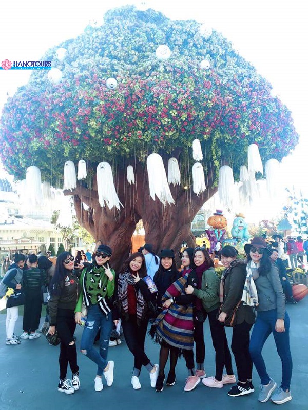 Công viên Everland với nhiều màu sắc đặc sắc