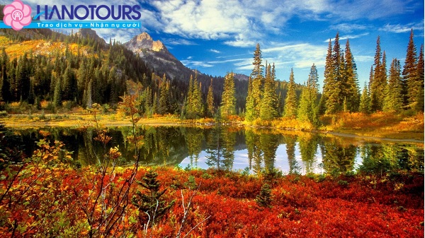 Một góc công viên Quốc Gia Dandenong