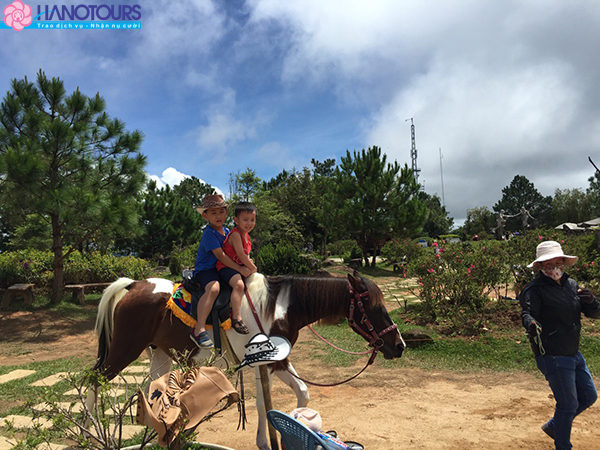 Cưỡi ngựa trên núi Langbiang
