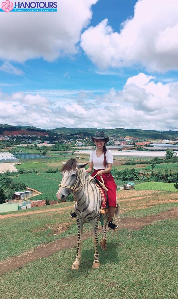 Cưỡi ngựa tại đỉnh núi Langbiang