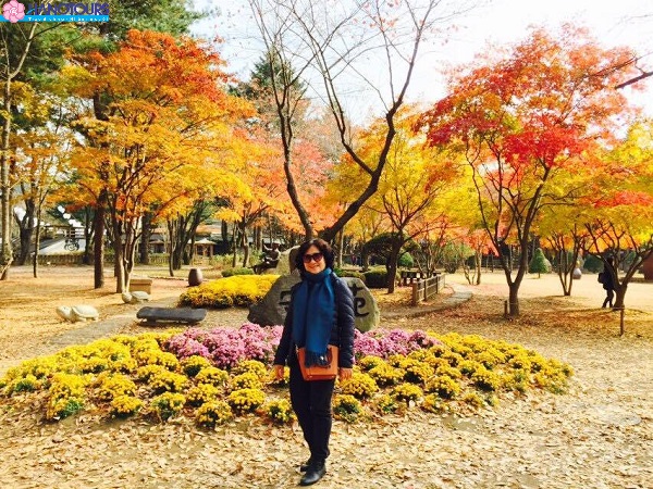 Đảo Nami - hòn đảo nhiều màu sắc rực rỡ