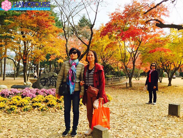 Du lịch Hàn Quốc mùa thu lá vàng
