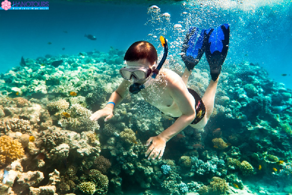 Du lịch Côn Đảo ghé thăm bãi Hòn Bảy thăm san hô