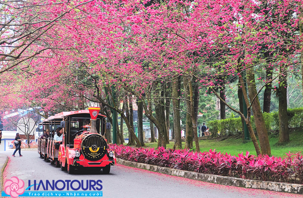 Tham quan làng văn hóa Cửu tộc