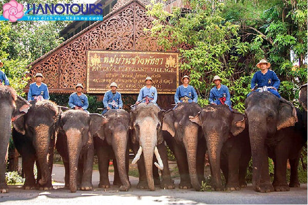 Làng Voi Pattaya