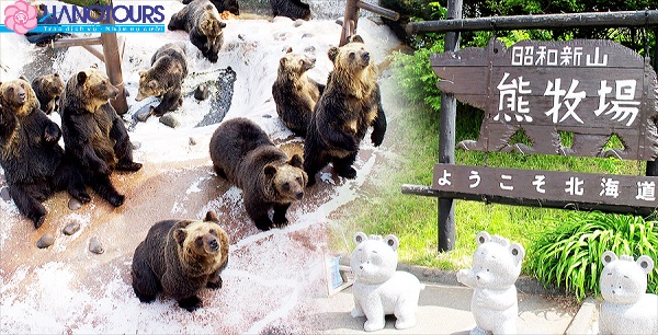 Nông trại gấu nâu Showashinzan Nhật Bản