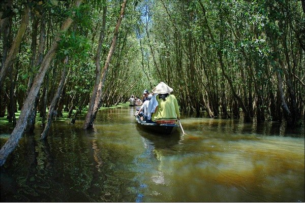 Rừng tràm Xẻo Quýt 