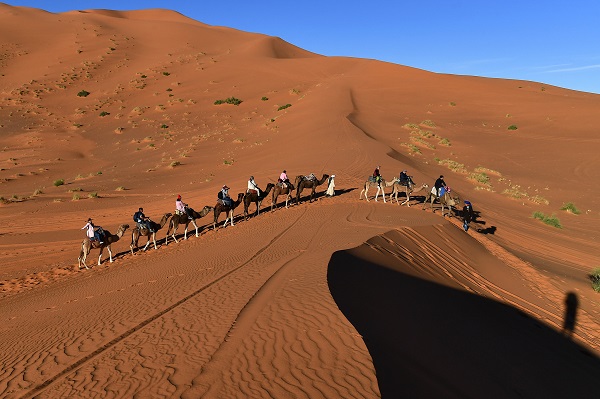 Cưỡi lạc đà trên sa mạc