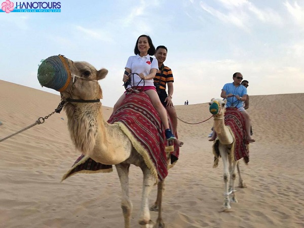 Cưỡi lạc đà tại Sa Mạc
