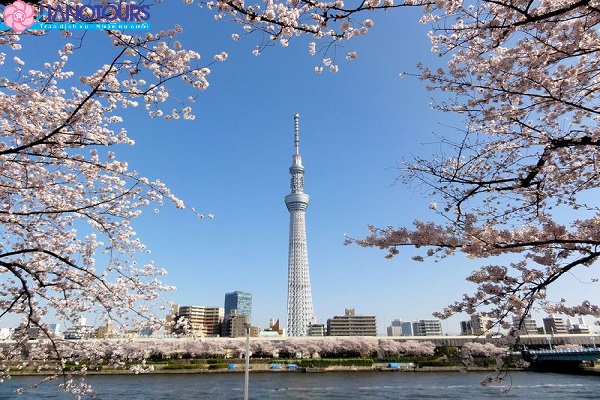 Tokyo Sky Tree