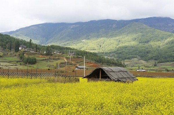 Thung lũng Phobjikha