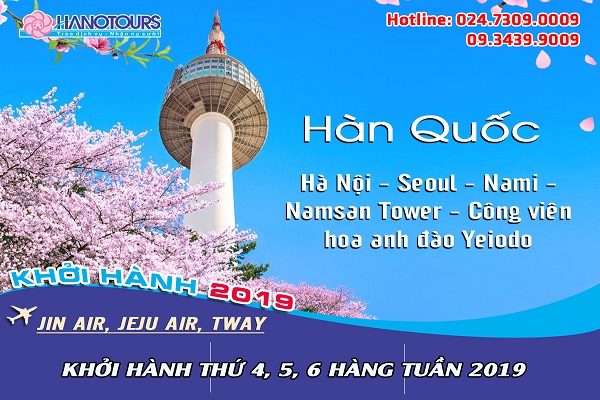 Hàn Quốc mùa hoa anh đào 2019: Hà Nội - Seoul - Nami - Namsan Tower Công Viên Hoa Anh Đào Yeouido