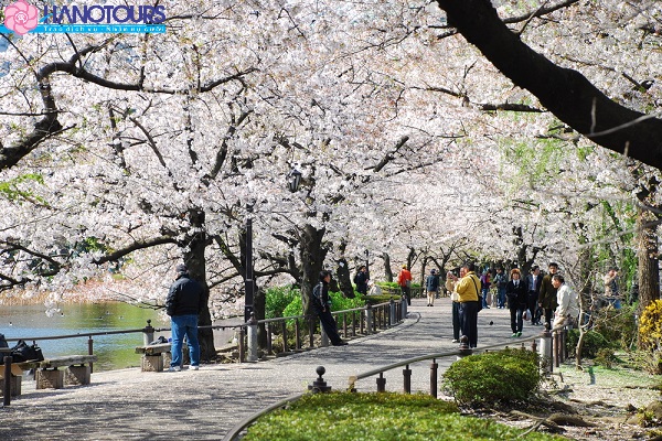 Công viên Ueno Tokyo